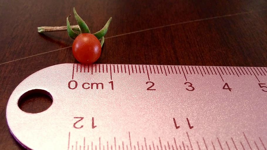 red cherry tomato, tiny, ruler, food, fruit, ripe, organic HD wallpaper