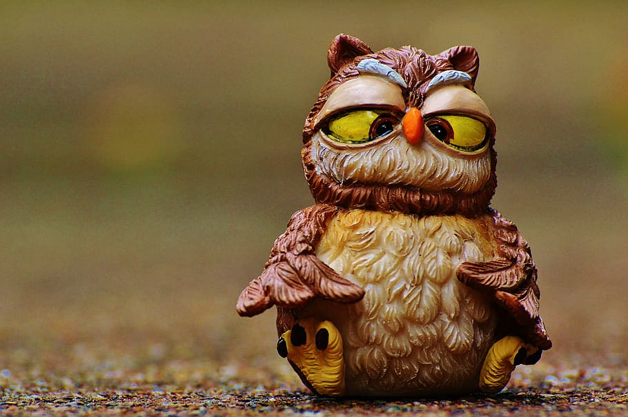 selective focus photograph of brown owl figurine, funny, squint HD wallpaper