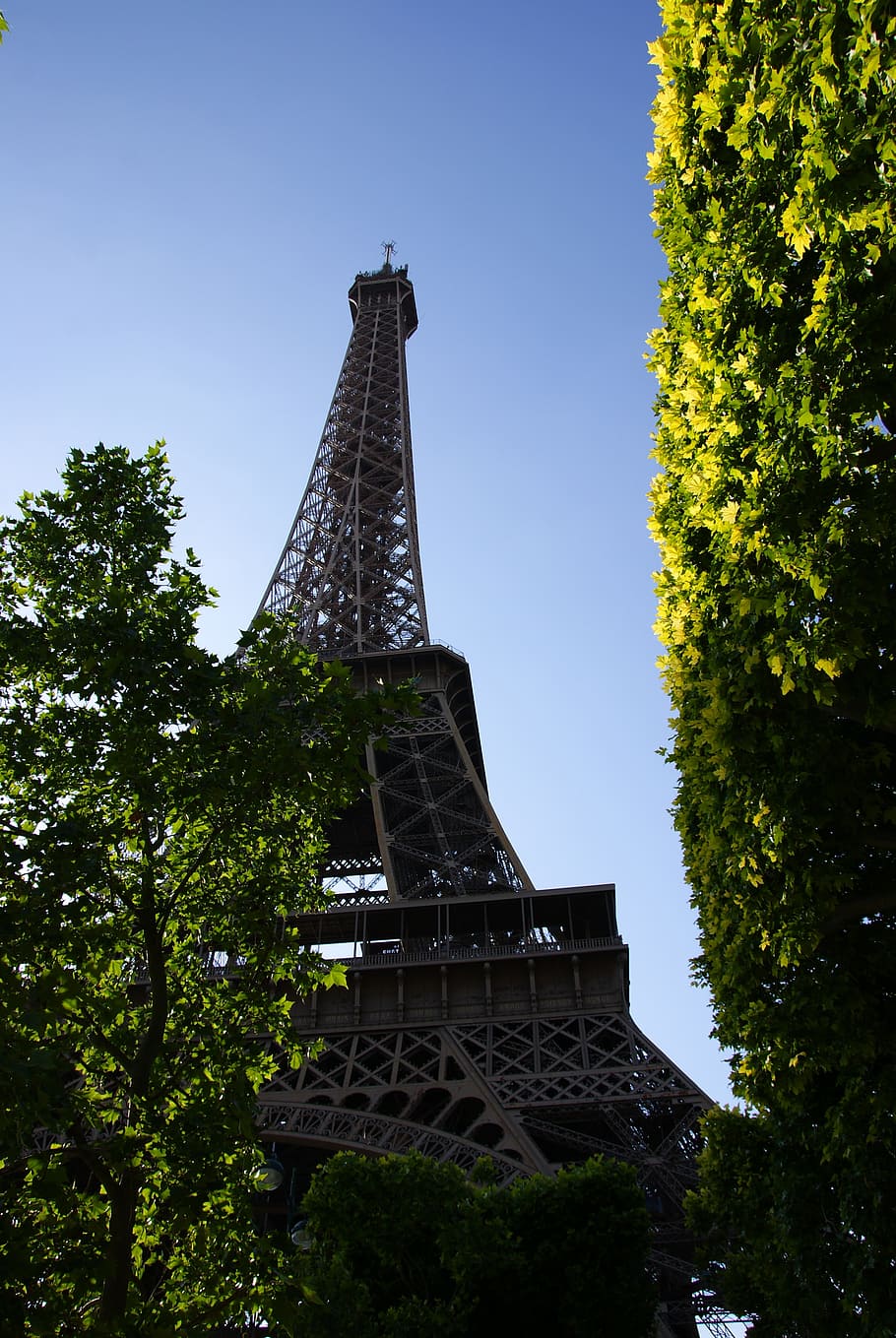 eiffel, tower, perspective, blue sky, architecture, paris, eiffel tower HD wallpaper