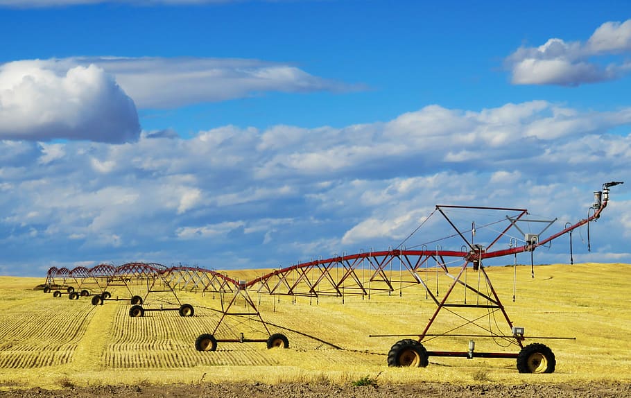 red farming tool on crop field, rice field under blue sky at daytime, HD wallpaper