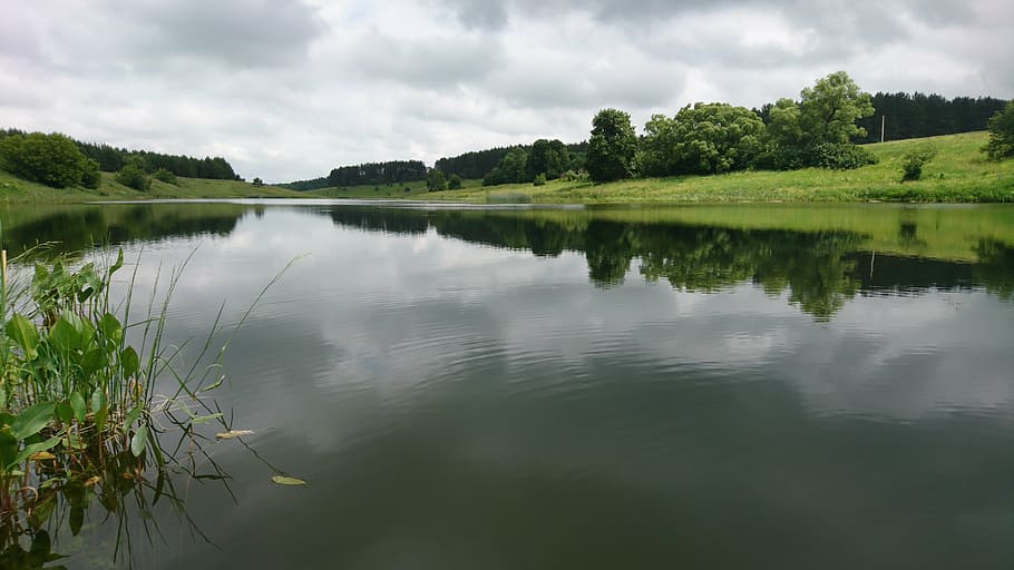 nature, pond, clouds, trees, reflection, water, lake, tranquility HD wallpaper