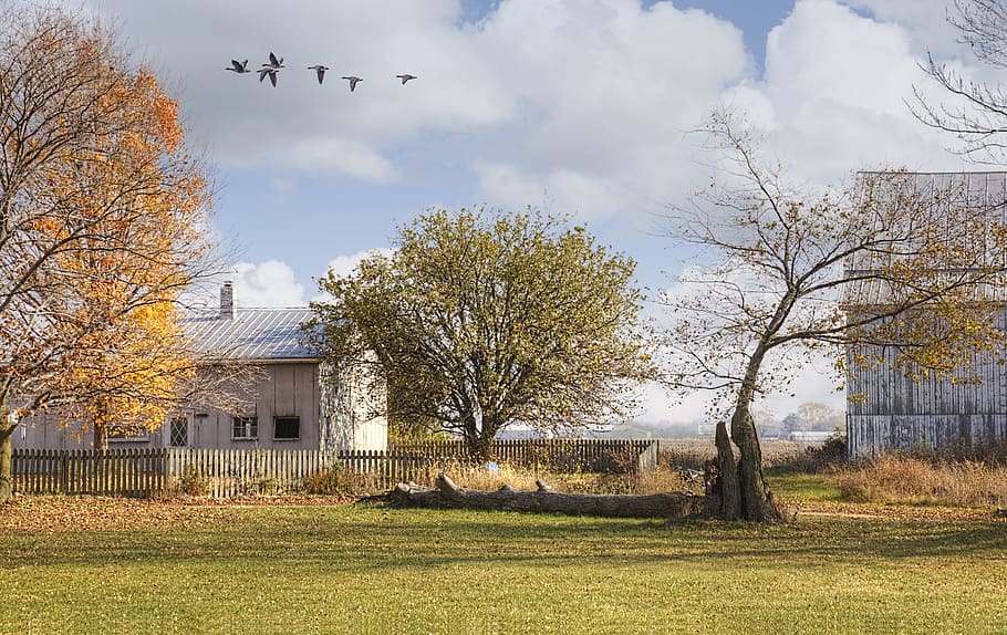 barn, rustic, barns, ohio, digital art, rural, scenic, country HD wallpaper