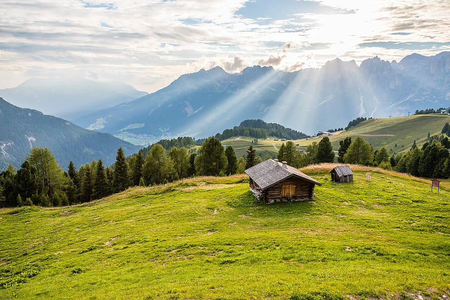 brown wooden cabin on top of hill, brown house at the center of meadow HD wallpaper