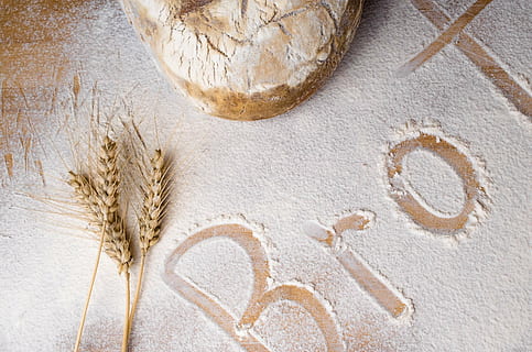 wheat stalks on table with flour, bread, bake, food, baker HD wallpaper