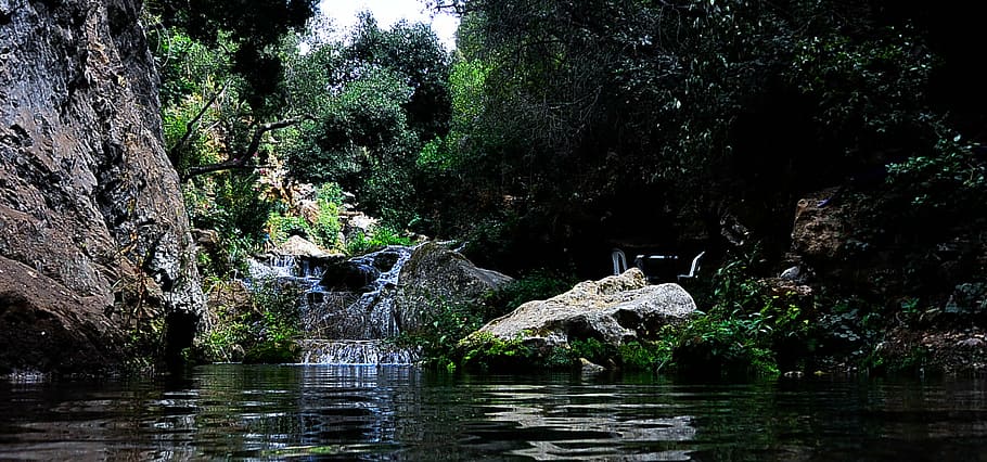 beautiful, branches, cascade, environment, forest, idyllic HD wallpaper