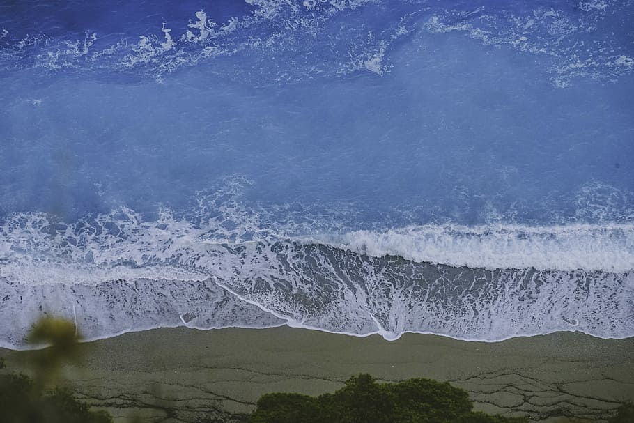 aerial photography of seawater, ocean, beach, waves, sand, tree HD wallpaper