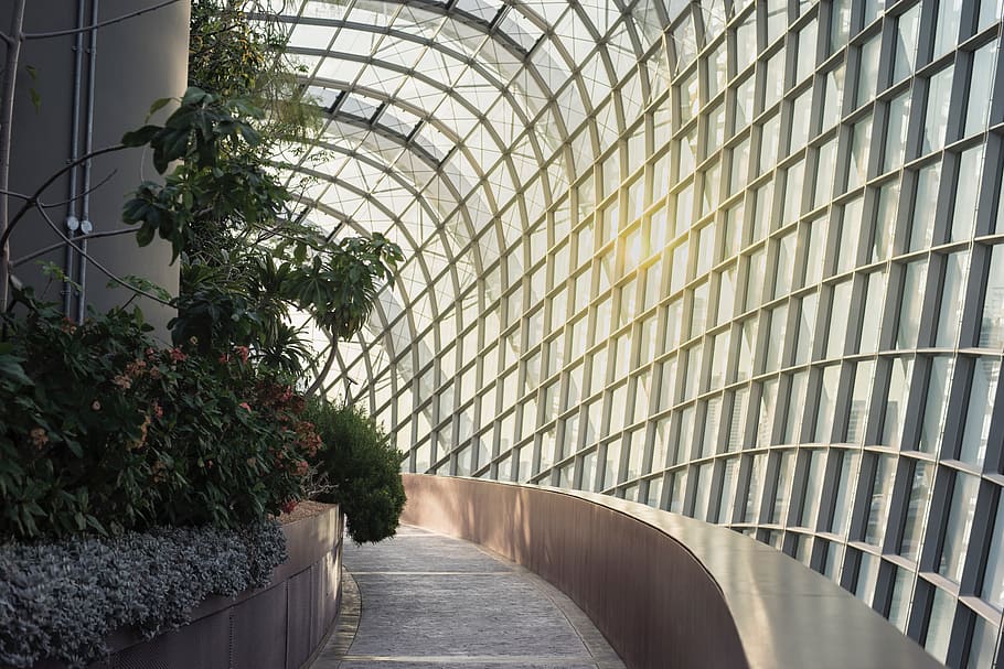 architecture, building, infrastructure, green, plant, built structure HD wallpaper
