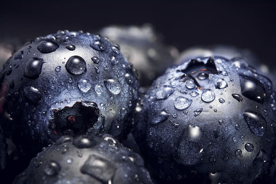 Water on blueberries, macro shot of water drop, blueberry, fruit, HD wallpaper