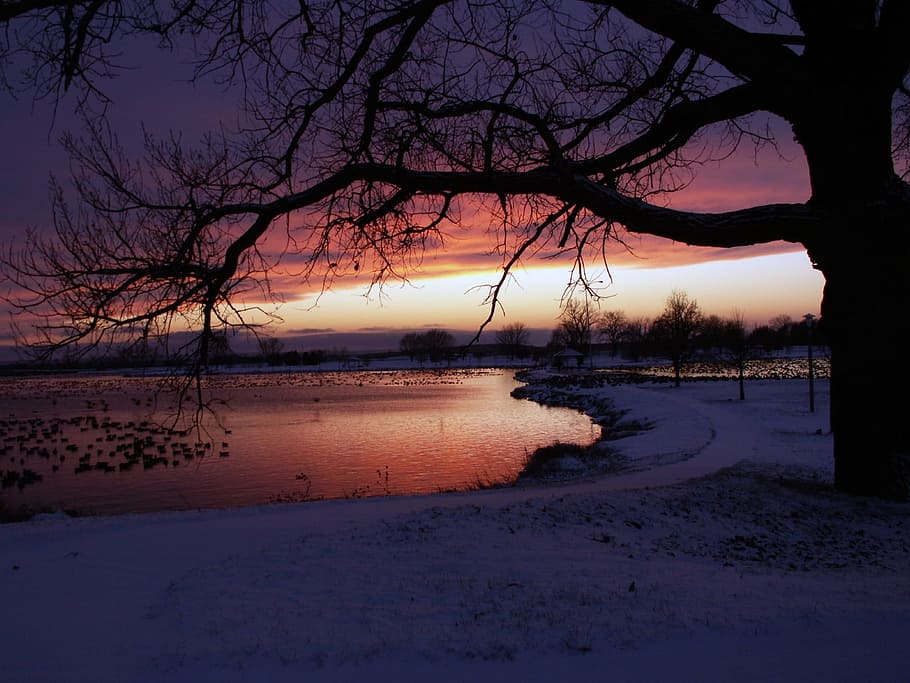 Lake, Tree, Evening, Sunset, Travel, sky, outdoor, tranquil HD wallpaper