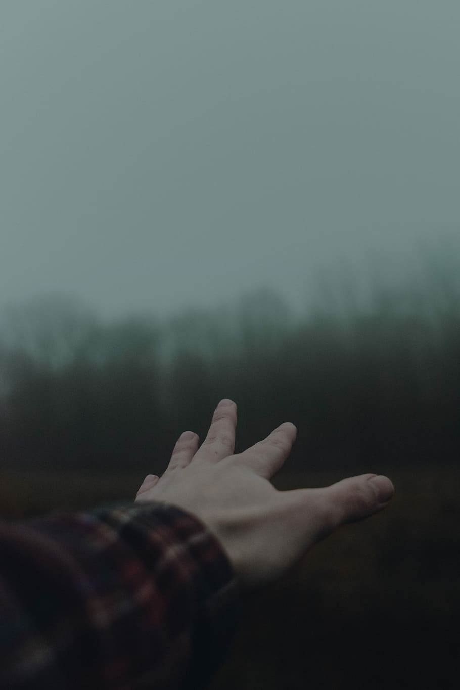 human hand in shallow focus photography, left person's hand, forest HD wallpaper