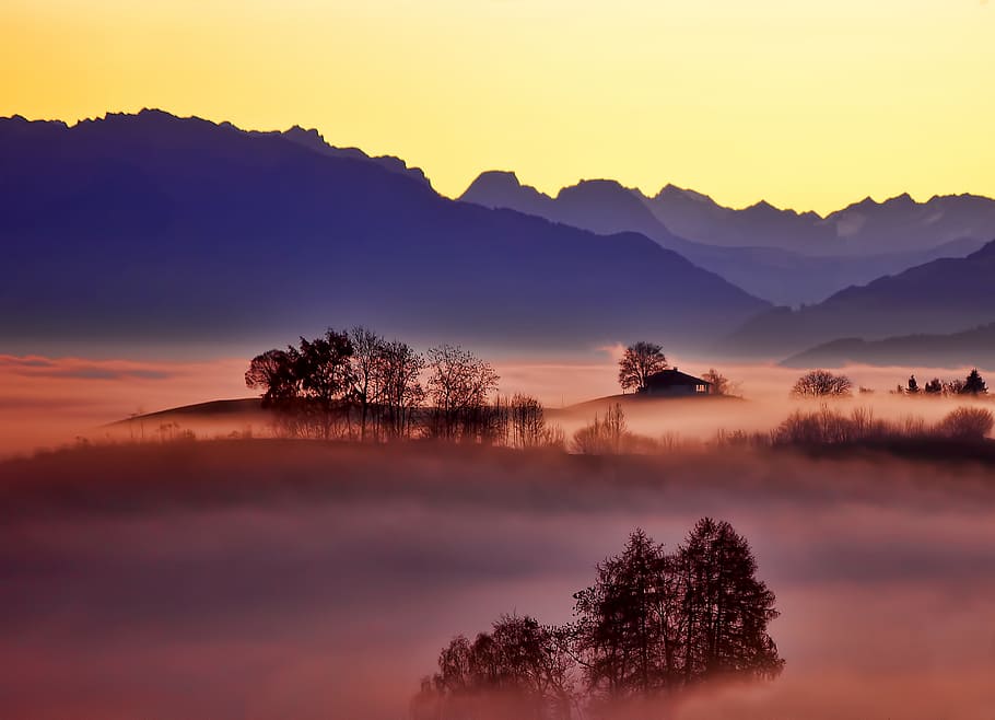 aerial photo of foggy trees and mountains, tree covered by fogs