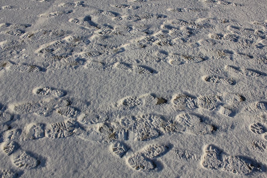 Tracks, Print, footmark, footprint footprint, winter, snow, HD wallpaper