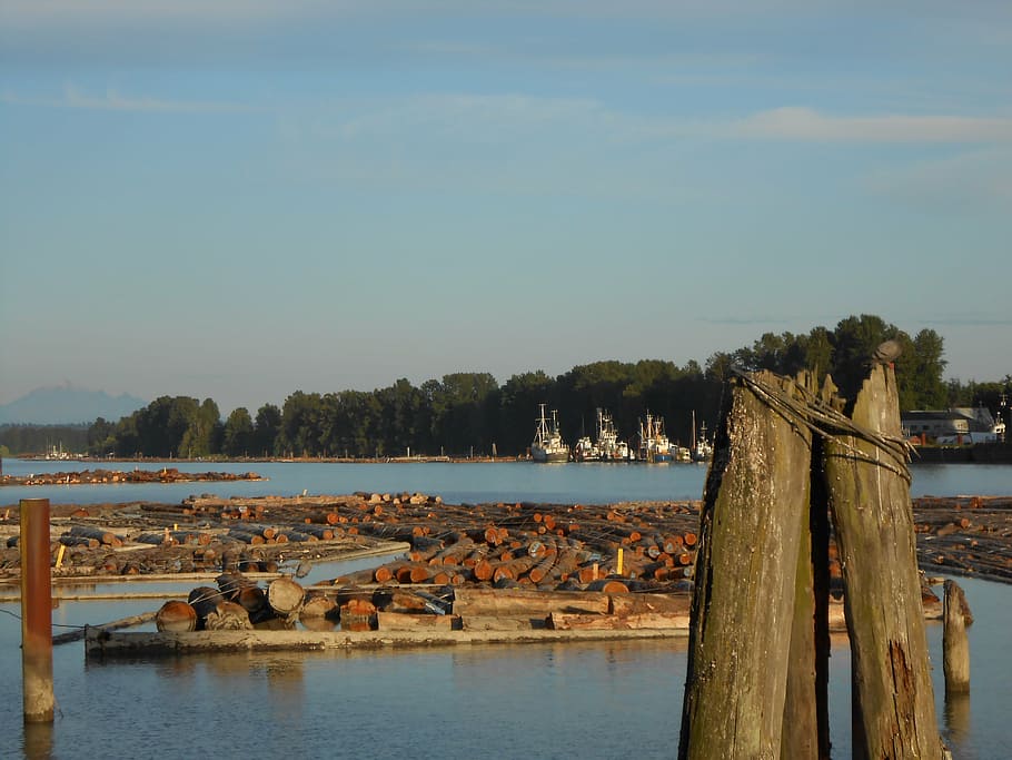 logs, lumber, river, logging, timber, logistics, sky, water HD wallpaper