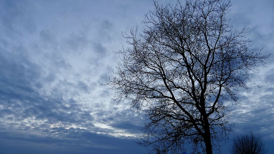 tree, landscape, sunset, sky, weekend, nature, blue, outdoors HD wallpaper