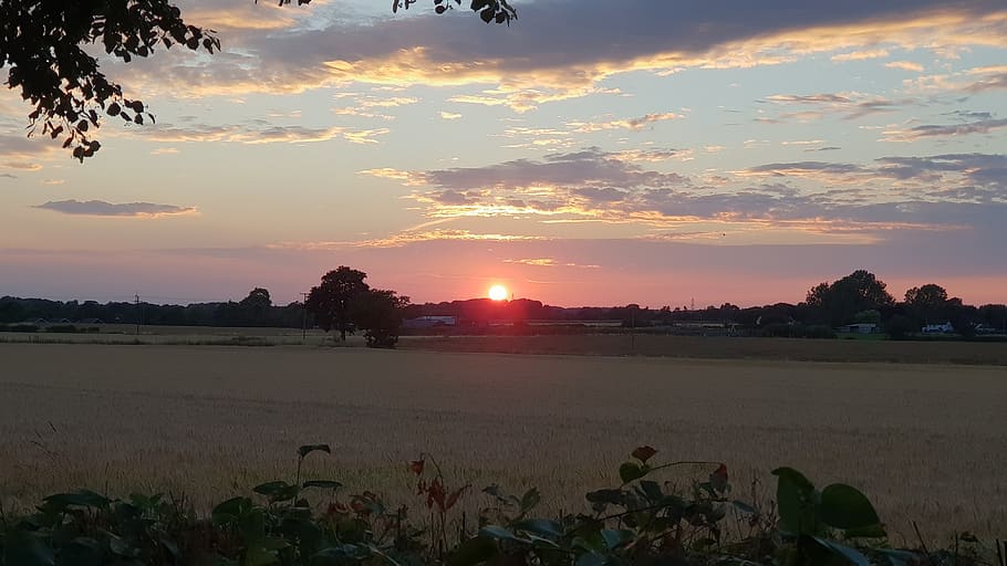 sunset, evening, clouds, dawn, landscape, dusk, sky, plant HD wallpaper