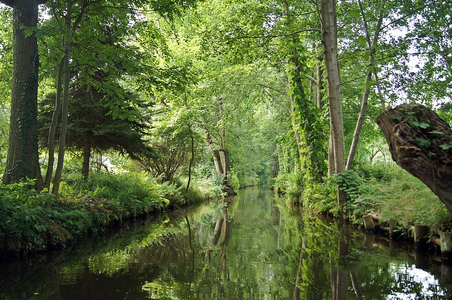 spreewald, castle, river, water, green, bank, nature, forest HD wallpaper