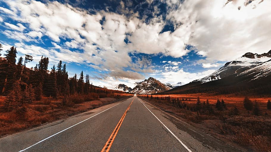 landscape photography of gray ashaplt road between green leafed trees and brown grasses under cloudy sky during daytime, photo of gray concrete pavement heading mountaing HD wallpaper