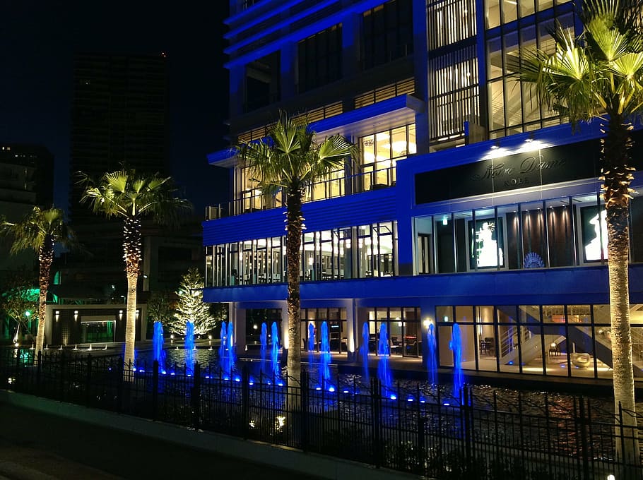 hotel, night view, palm tree, blue, tropical, osaka, night view of kobe HD wallpaper