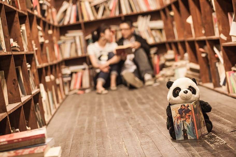 selective focus photography of panda plush toy holding a book in front of two person sitting on bookcase HD wallpaper