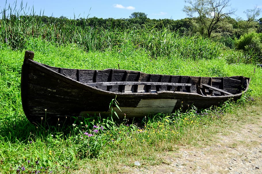 boat, old, field, grass, nature, plant, land, green color, day HD wallpaper