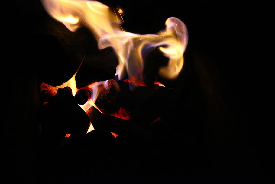 fire, flame, coal, burning, heat - temperature, fire - natural phenomenon HD wallpaper