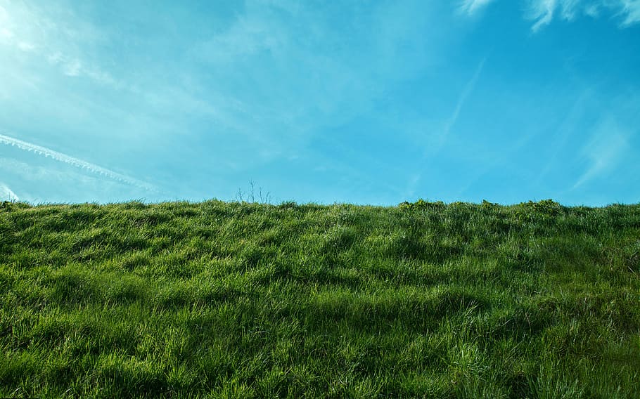 air, grass, blue, green, cloud, blue sky, colors, plant, beauty in nature HD wallpaper