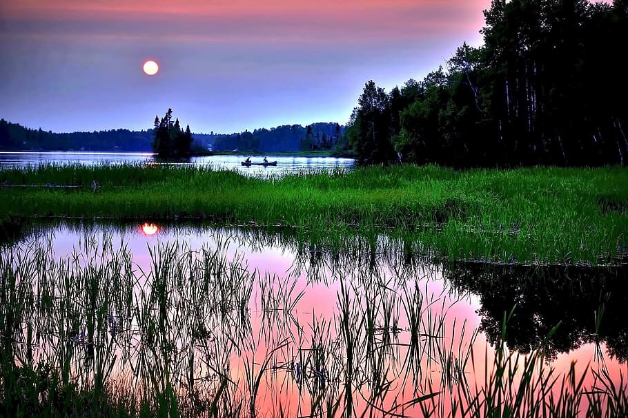 lake with green grass surface view during dawn, sunset, twilight HD wallpaper