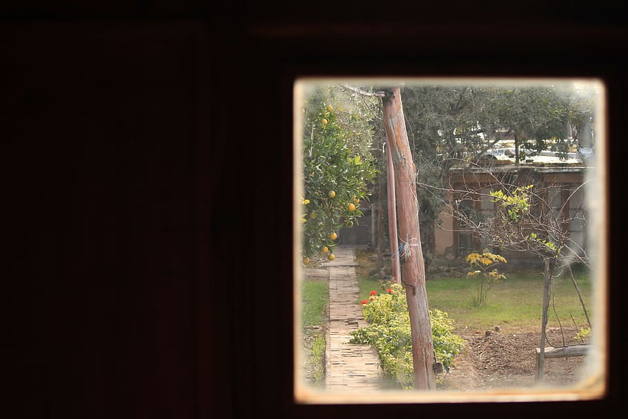 Window, Glass, Landscape, Batch, indoors, day, window sill HD wallpaper