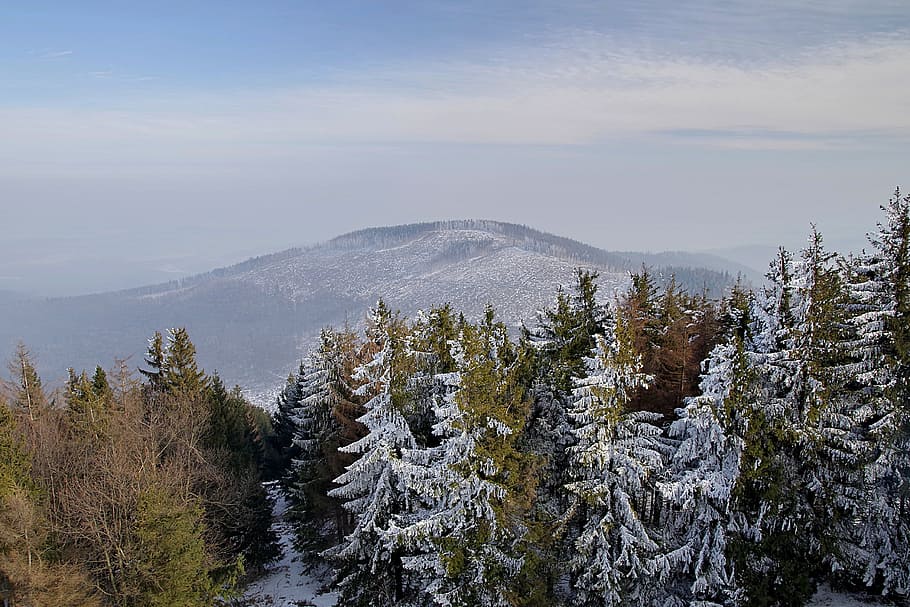 Mountains, Tree, Winter, Snow, Stok, slope, hard rime, poland HD wallpaper