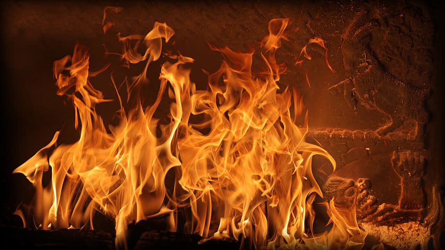 flaming wooden engraved board, fire, goats, bruse, fireplace, HD wallpaper