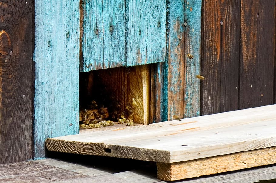 hive, beehive, bees, animals, insect, wood - material, day HD wallpaper
