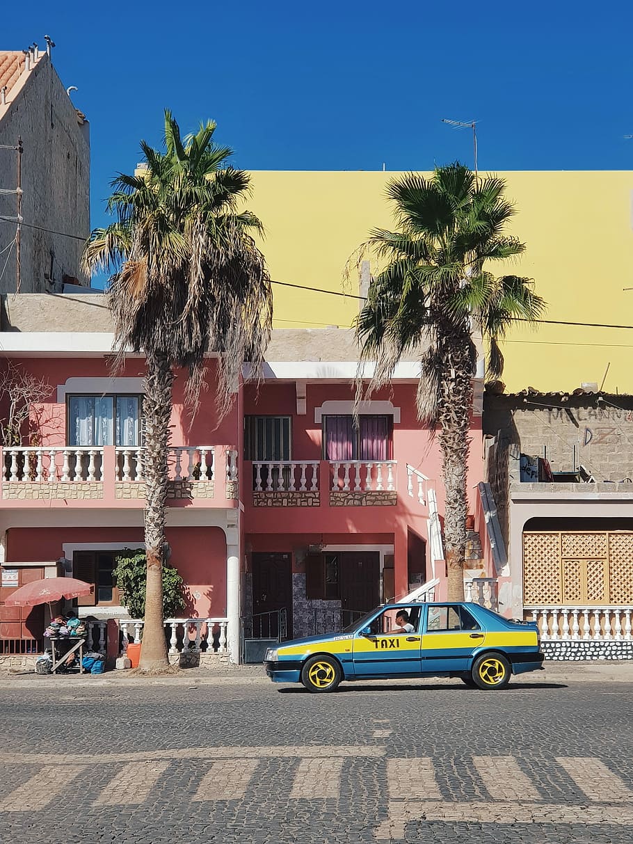 blue and yellow taxi parked near palm tree, taxi on road, buiding HD wallpaper