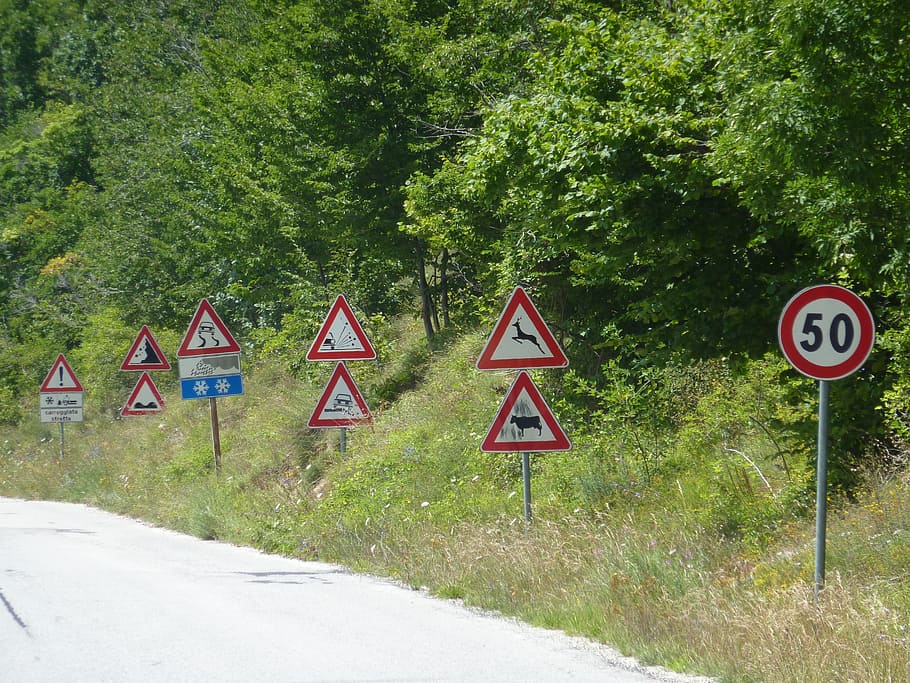 traffic, sign, road, warning, information, traffic sign jungle HD wallpaper