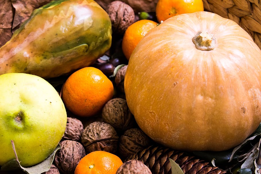 nature, autumn, pumpkin, nuts, food and drink, healthy eating HD wallpaper