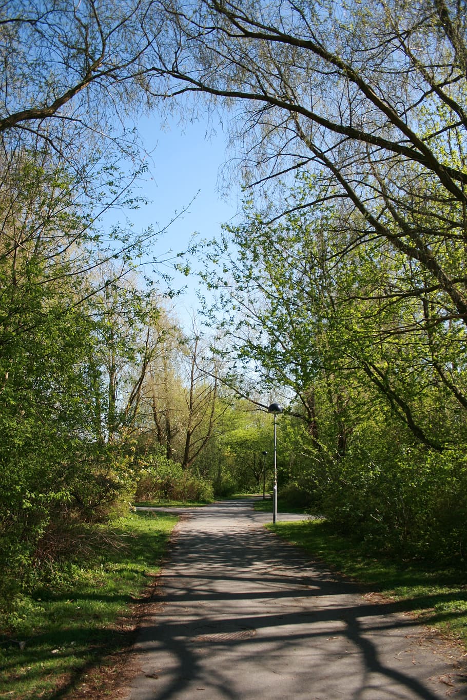 path, walkway, scenic, trail, paved, cement, park, pathway HD wallpaper