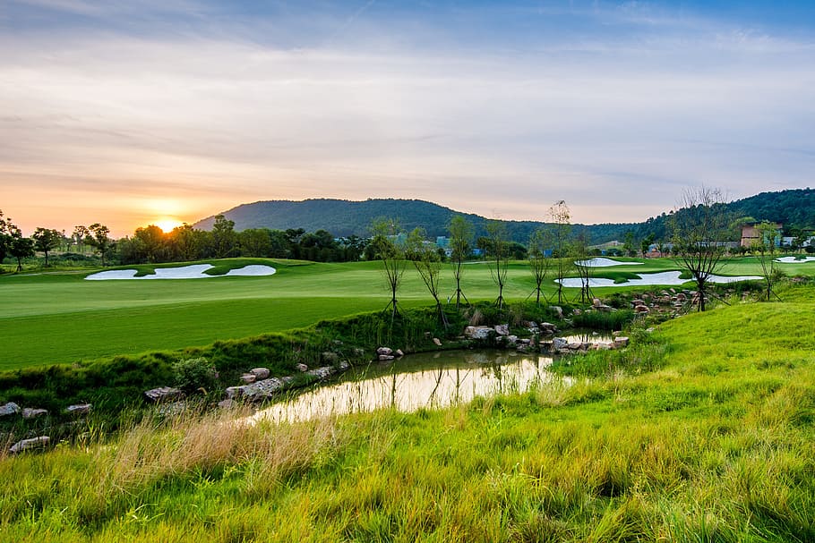 HD wallpaper green grass field, Golf, Blue Sky, White Cloud, golf