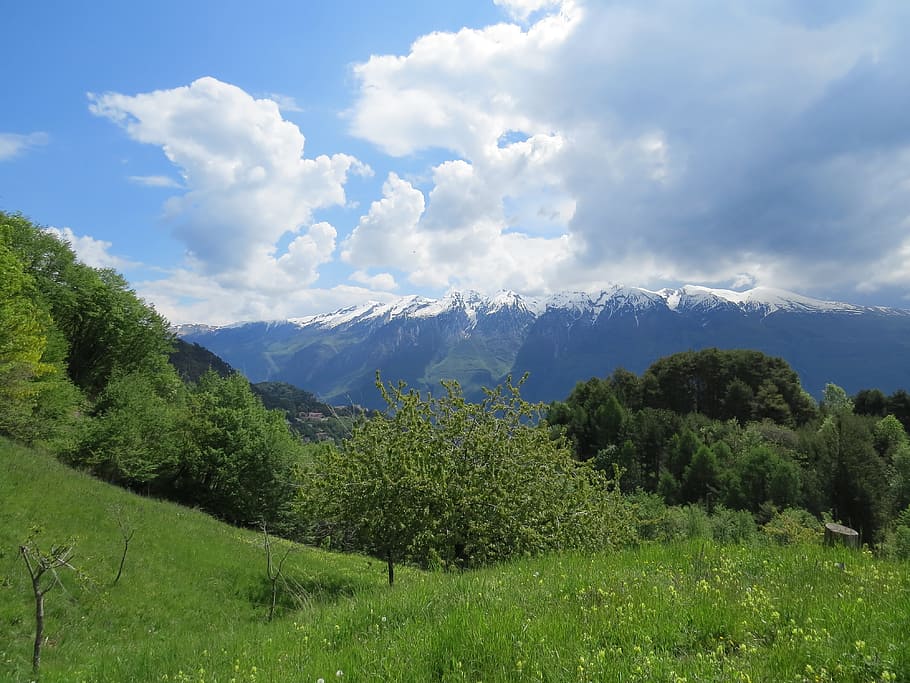 nature, landscape, tree, panorama, mountain, beauty in nature HD wallpaper