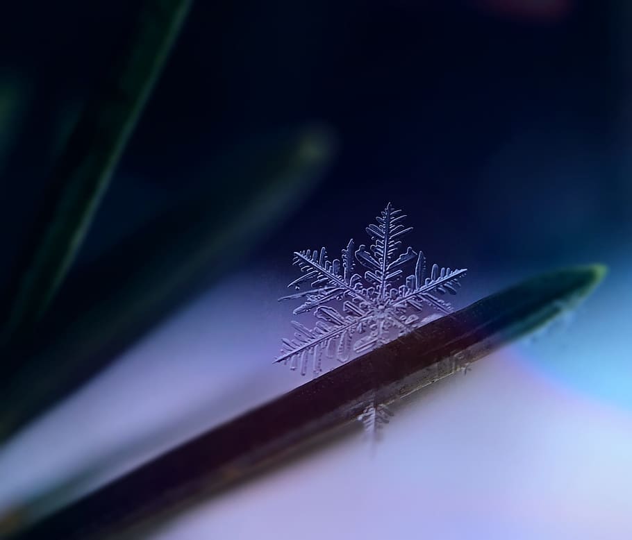 cold, snow, art, dark, abstract, blur, bright, christmas, close-up HD wallpaper