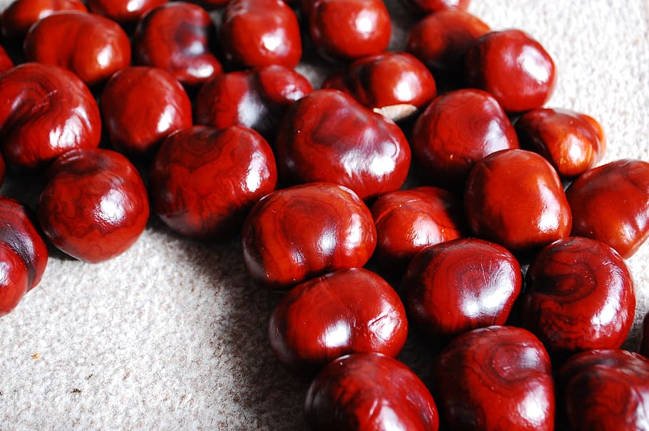 chestnut, nuts, still life, red, food and drink, healthy eating HD wallpaper