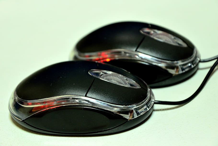 mouse, equipment, computers, components, it, close-up, no people HD wallpaper
