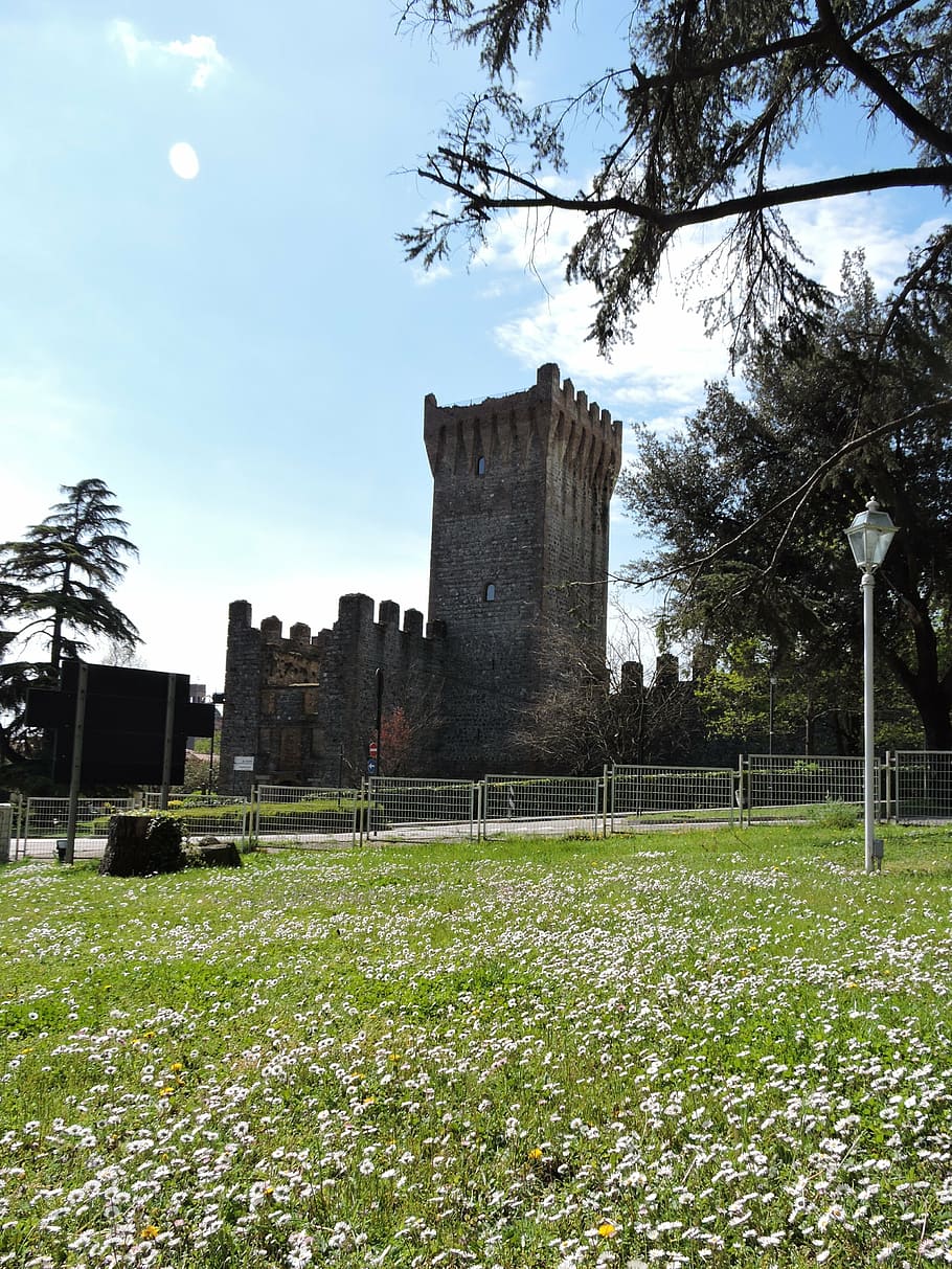 garden, castle, grass, green, torre, tree, flowers, bloom, prato HD wallpaper