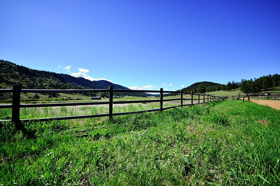 fence, sky, pasture, field, landscape, blue, summer, outdoor HD wallpaper