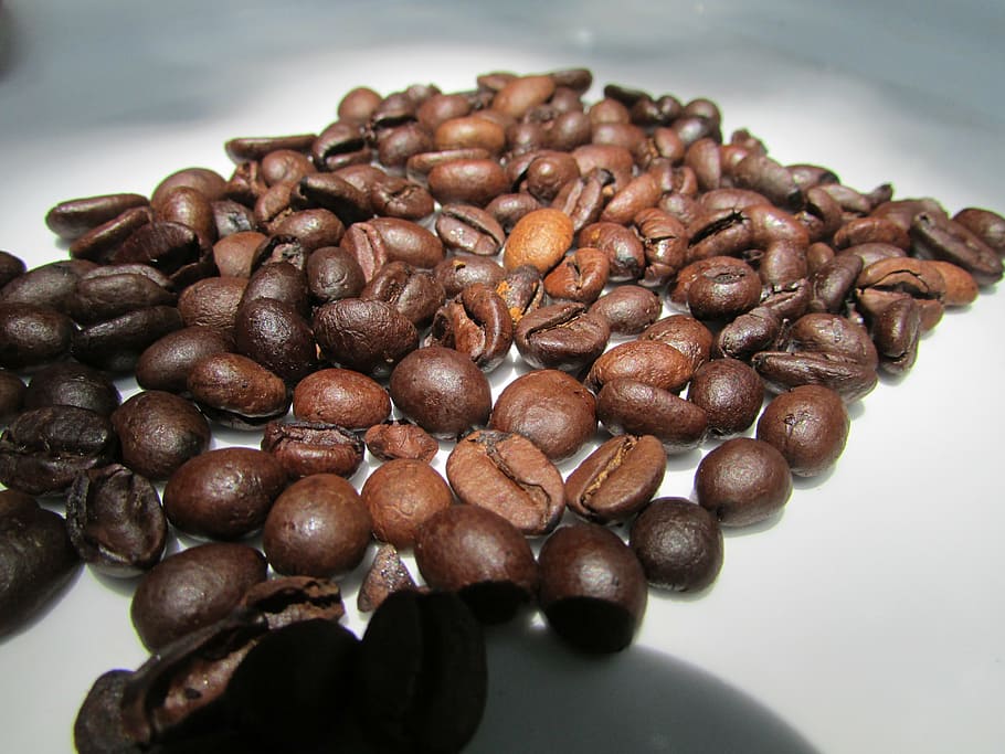 roasted coffee beans, dharwad, india, brown, caffeine, cafe HD wallpaper