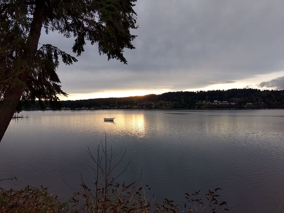 water, fir tree, reflection, bay, nature, lone boat, anchored out HD wallpaper