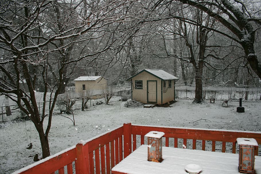 winter, backyard, snowfall, quiet, dreary, cold temperature HD wallpaper