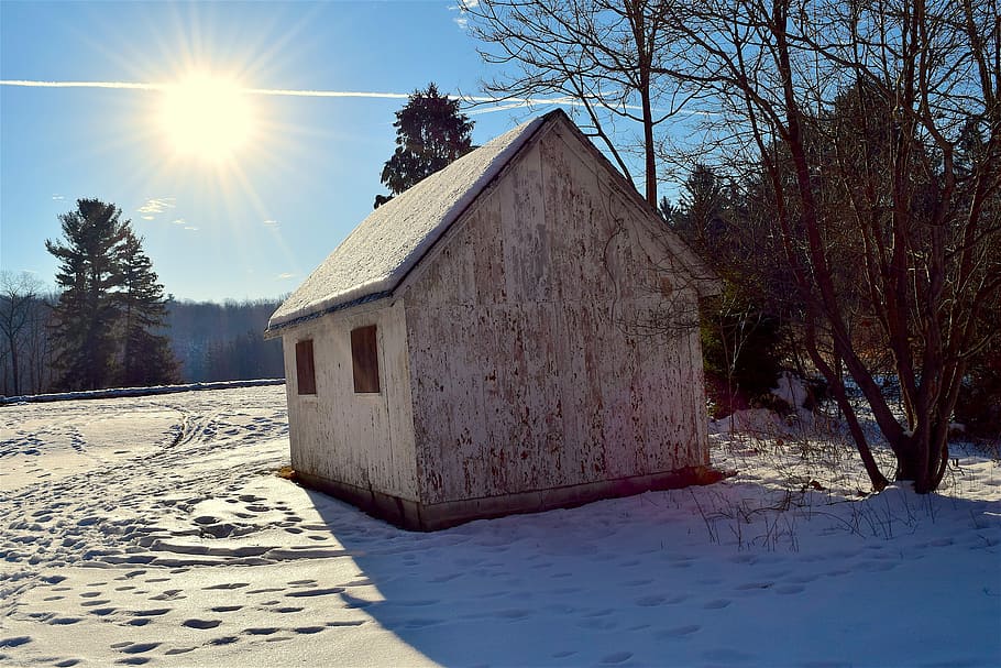 Snow, House, Sun, Sunlight, sky, bright, winter, shadow, trees HD wallpaper