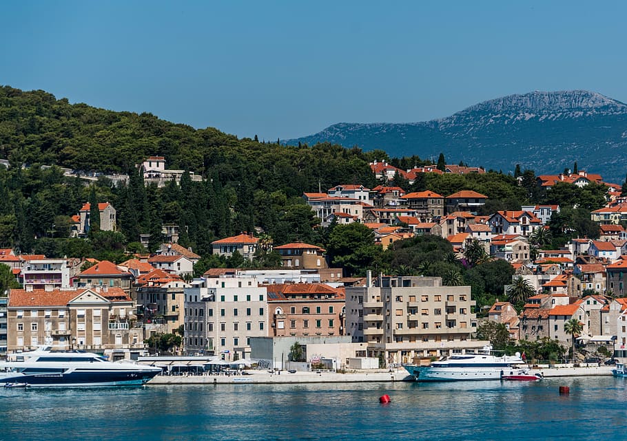 white cruise ship on body of water, split, croatia, architecture HD wallpaper