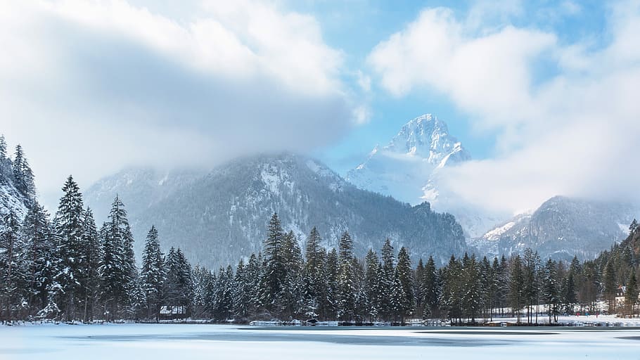 landscape photography of snow-covered trees and mountain, pond HD wallpaper