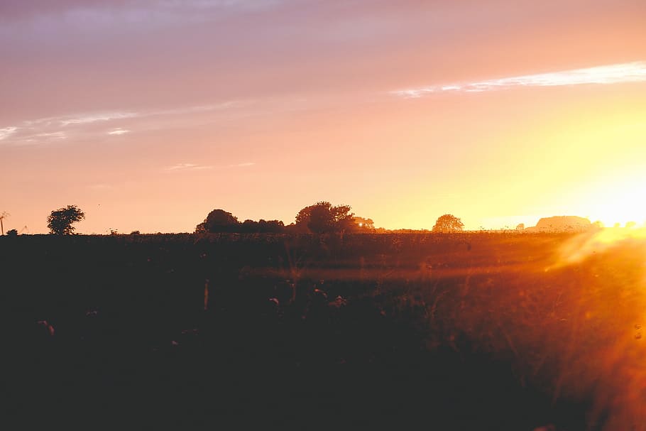 sunset, dusk, sky, field, landscape, rural, environment, scenics - nature HD wallpaper