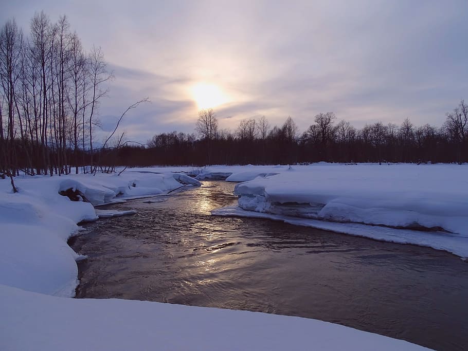 winter, river, mountains, forest, reflection, snow, leann, cold HD wallpaper